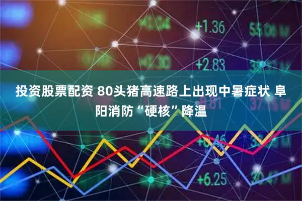投资股票配资 80头猪高速路上出现中暑症状 阜阳消防“硬核”降温